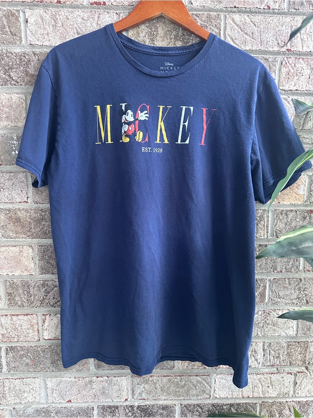 Retro vibes Disney Navy Mickey Graphic Tee with Multicolor Lettering Womens 2x